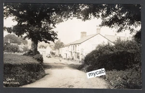 Postcard Bridestowe nr Okehampton Devon village view early RP by Chapman - Foto 1 di 2