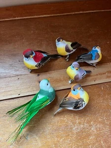 Lot of Colorful Painted Styrofoam & Real Feathers Bird Clip Tree Ornaments - the - Picture 1 of 10