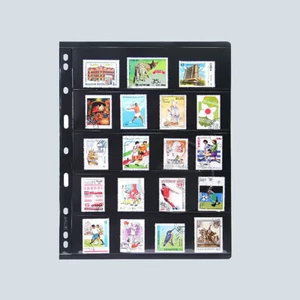 5 Strips Stamp Album Stock Pages PCCB Double Sided Binder Holder Case Collect - Picture 1 of 3