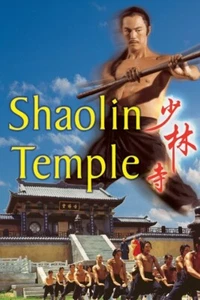 Shaolin Temple (1976) Public Domain Film Supplied On DVD Free UK Postage - Foto 1 di 2