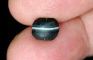 Rara antica perla Dzi in agata a fascia nera, Impero Gandhara - 9x4 mm #C310 - Foto 1 di 3