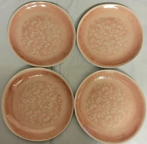 4 Pk Nicole Miller 10.5” Plates Dusty Rose Pink Floral Melamine Dinner Set New - Picture 1 of 11