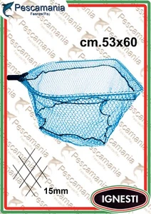 Testa Guadino Ignesti Maxi quadra cm53x60 - Bild 1 von 1