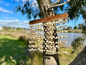 Waterfall Kenari Seeds Pods Shaker, Soothing and Healing Sound, 50cm x 40cm - Picture 1 of 5
