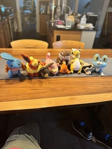 Peluche Pokemon Center Flareon ¡Más! Lote de 9 peluches Pokemon - Imagen 1 de 8