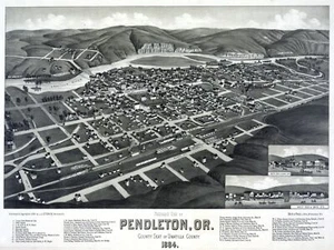 Decorative Poster.Pendleton Oregon 1884 bird eye view.Aerial city map. 2677 - Picture 1 of 1