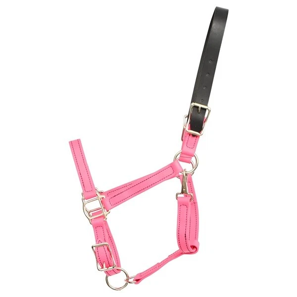 PFERDEGRÖSSE - FERTIG - Kaugummi rosa WEIDEHALFTER aus BETA BIOTHANE - Bild 1 von 1