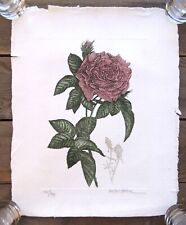 ROSE WITH BUDS Victor Hohne Hand Colored Etching Hand Made Paper Signed #142/395