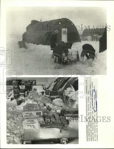 Pressefoto Szene an der Eisstation Cesar im Arktischen Ozean - sax30576 - Bild 1 von 2