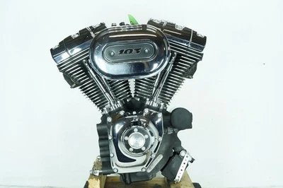 2016 Harley Dyna FXDL Low Rider OEM EFI Twin Cam 103 Engine Motor 32K — 第 1/4 张图片