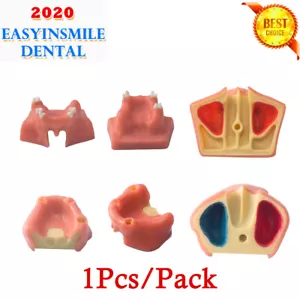 1Pz Modello Dentale Denti Insegnamento Stile A/B Pratica Sinusale per Esercizi di Impianto - Foto 1 di 13
