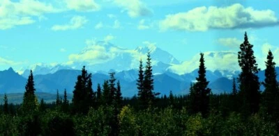 ¡LOTE DE 4 SUBDIVISIONES ACRES! TÉRMINOS E Z $499 ABAJO - $269/MES SIN CALIFICAR - VER MT DENALI Foto 1 de 3