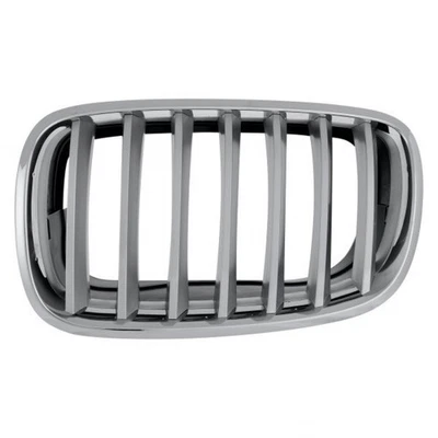 For BMW X6M 2010-2014 Grille Driver Side Titanium | w/ Chrome Frame | BM1200182 Foto 1 de 4