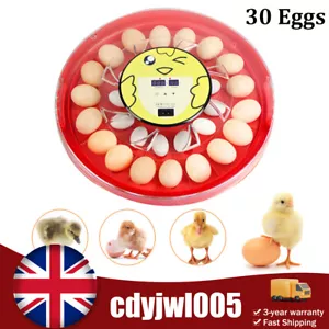 Incubadora digital automática de 30 huevos control de temperatura torneado para pollos - Imagen 1 de 22