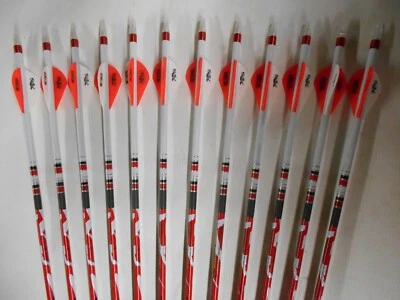 1dz.Carbon Express Destroyer MX 350 flechas sumergidas/con crestas DS-troyer Foto 1 de 3