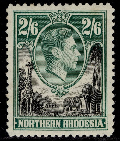 NORTHERN RHODESIA GVI SG41, 2s 6d black & green, M MINT. Cat £16 Cover