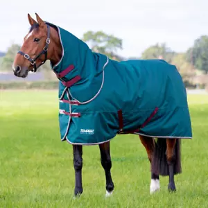 Shires Tempest Original 200g Turnout Rug & Neck - Picture 1 of 3