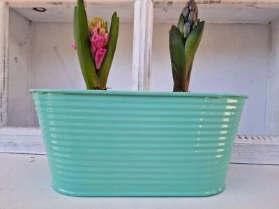 Pflanzschale Oval Mint Metall 22x10,5xH9cm  - Bild 1 von 3