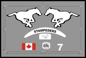 Calgary Stampeders Mini Casco Decalcomanie Alternative - Foto 1 di 1