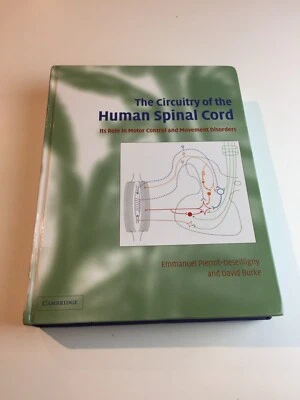 The Circuitry of the Human Spinal Cord - Image 1 of 4