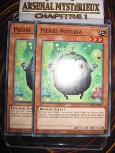 YU-GI-OH! PLAYSET (LOT DE 2) PIERRE NATURIA HAC1-FR094 EDITION 1 FRANCAIS - Picture 1 of 1