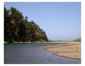 "Río Gualala - California 8x10 foto en 8,5"" x 11" - Imagen 1 de 1