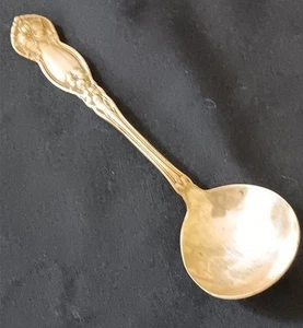 Wm Rogers & Sohn Orangenblüte Versilbert Klein Gewürz Nuss Löffel 5" 1910 - Bild 1 von 4