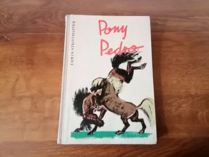 Antiquarisches Buch Erwin Strittmatter Pony Pedro Kinderbuchverlag Berlin 1959 - Bild 1 von 1