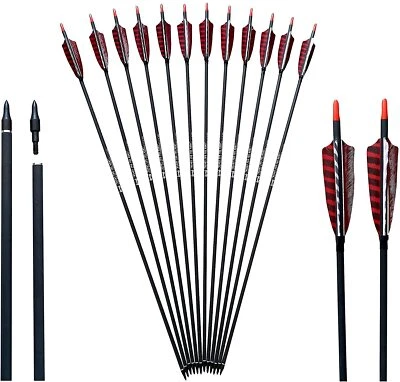 Evercatch 12x 30.5" PURE CARBON ARROWS FEATHER RECURVE BOW LONGBOW HUNTING TARGE - image 1 of 4