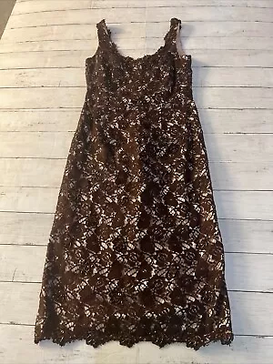 JS Boutique Womens Chocolate Brown Illusion Lace & Sequin Cocktail Dress Size. 6 - Image 1 of 4