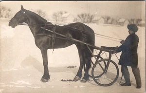 RUSSIAN RACE HORSE IN WINTER - OLD REAL PHOTO POSTCARD - Picture 1 of 2
