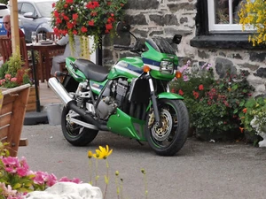 Dekorsatz Decals kompatibel zu ZRX 1100/1200 -ELR- Digitaldruck Sonderdekor - Picture 1 of 10