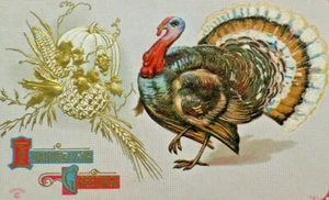 Vintage Thanksgiving Greetings Turkey Pumpkin Corn Embossed Postcard A6 - Picture 1 of 3