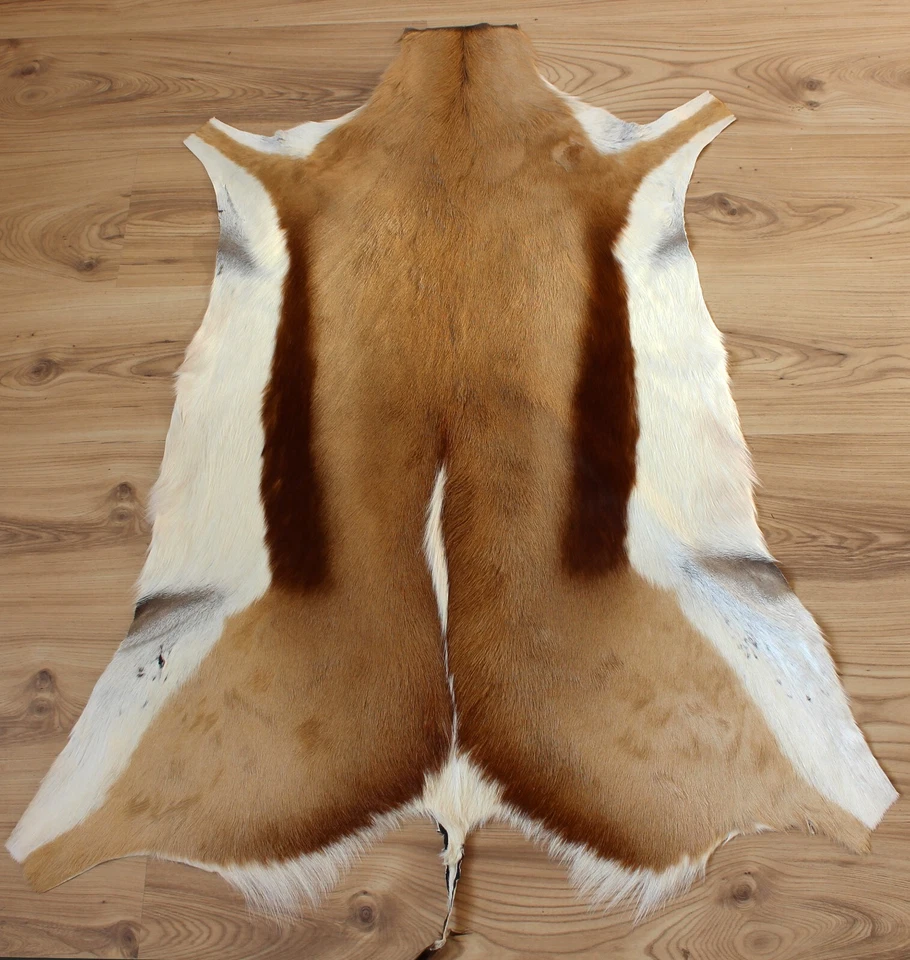 Springbockfell XXL Tierfell geruchsneutral, weich gegerbt aus Südafrika #266-10 - Bild 1 von 1