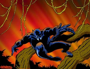 ANTHONY CACIOPPO~IMPRESIÓN FIRMADA PANTERA NEGRA~WOW! - Imagen 1 de 1
