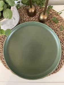 Williams Sonoma Terre Sage Green Dinner Plate Matte Discontinued 10.5”” HTF Rare - Picture 1 of 4