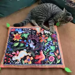 Fuzzu Sweet Spot Kätzchenteppich nachfüllbar Katzenminze Spielmatte enthält Bio-Katzenminze - Bild 1 von 3