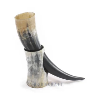 Tasse à bière corne de boeuf viking corne à boire avec support en corne | Longueur 10 à 12 pouces - Photo 1 sur 8