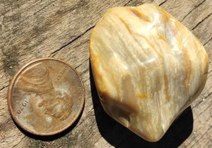 Beautiful Chunk 18oz Jasper Agate Specimen Lapidary Cabbing Waterline - Picture 1 of 12