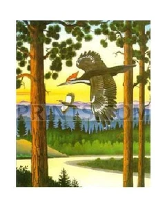 Monte Dolack Lolo Bosque Nacional Edición Abierta - Imagen 1 de 1