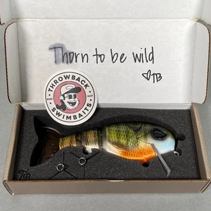 Throwback Baits WAKE WALKER Resin Swimbait Flee Shad Limited / Rare SIGNED New - Picture 1 of 15