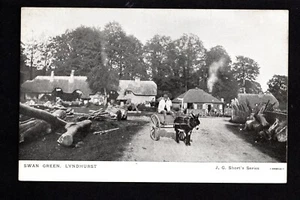 Lyndhurst, Donkey & Cart at Swan Green - west of Southampton - Imagen 1 de 1