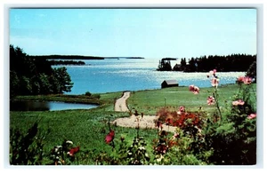1960 Audubon Camp of ME Maine frühe Ansicht - Bild 1 von 2