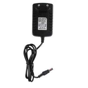 Adaptateur CA pour Casio WK1800 CTK738 CT688 PX-100 CDP-100 Piano 12V - Picture 1 of 2