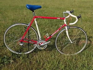 Wheeler Vintage Rennrad, Shimano 2x7-fach, Tange Rahmen, neuwertig, 58cm - Bild 1 von 7