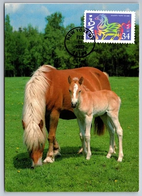 #3559 Chinese Lunar New Year Horse FDC Maxi Card - Image 1 of 2