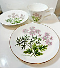Klassisch Royal Sutherland Porzellan Koriander Blumen Teetasse & Untertasse Set