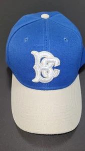 Gorra Brooklyn Cyclones azul béisbol Coney Island Trucker bordada  - Imagen 1 de 4