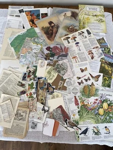 Large Ephemera Junk Journaling Paper Pack Craft Bundle Collage Scrapbooking Art - Picture 1 of 11