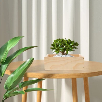  Rectangular Wooden Planter Succulent Pot Flowerpot Multifunction Desktop - Image 1 of 4